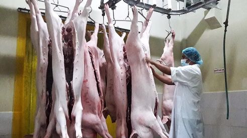 筑牢安全防線 肉制品加工廠的衛(wèi)生設(shè)施與管理實踐